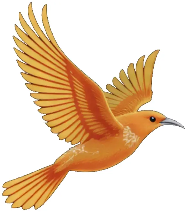 Dulus bird logo