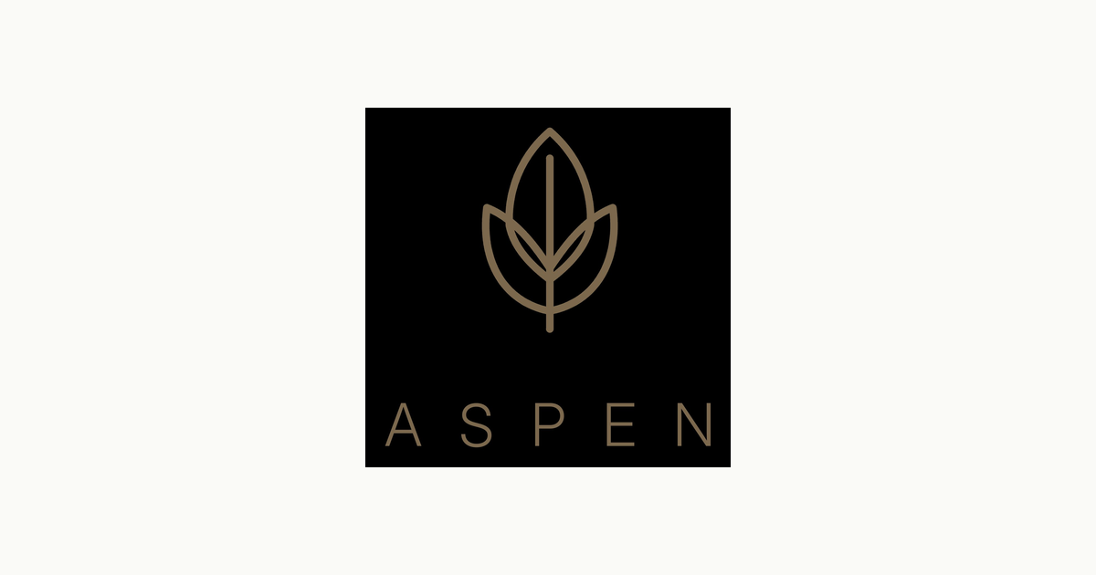 Aspen – Local LLM for Mortals