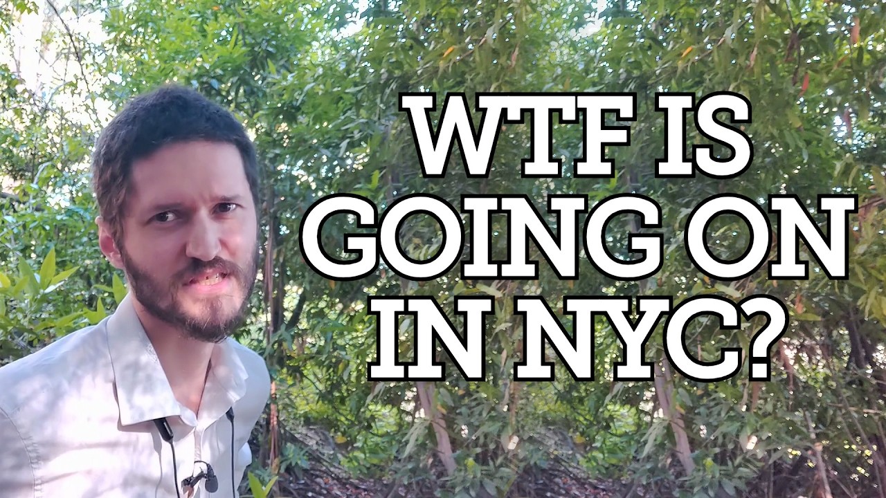 The AI industry is spending $10M against Alex Bores [video]