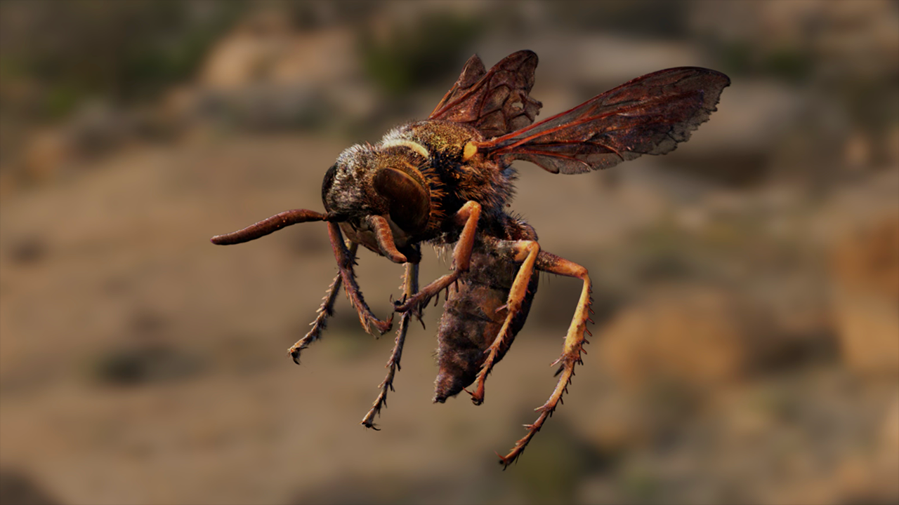 Houdini 22 Sneak Peek - SideFX
