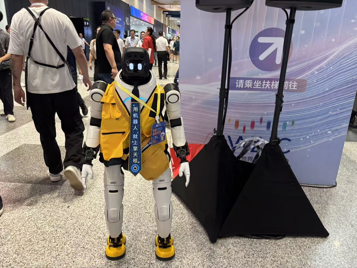 China's AI Push Intensifies as Robot Chips Go Domestic