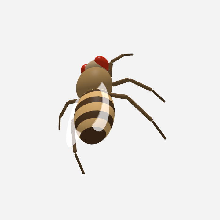 3D fruit fly on macOS desktop (hero-изображение README/og:image репозитория)