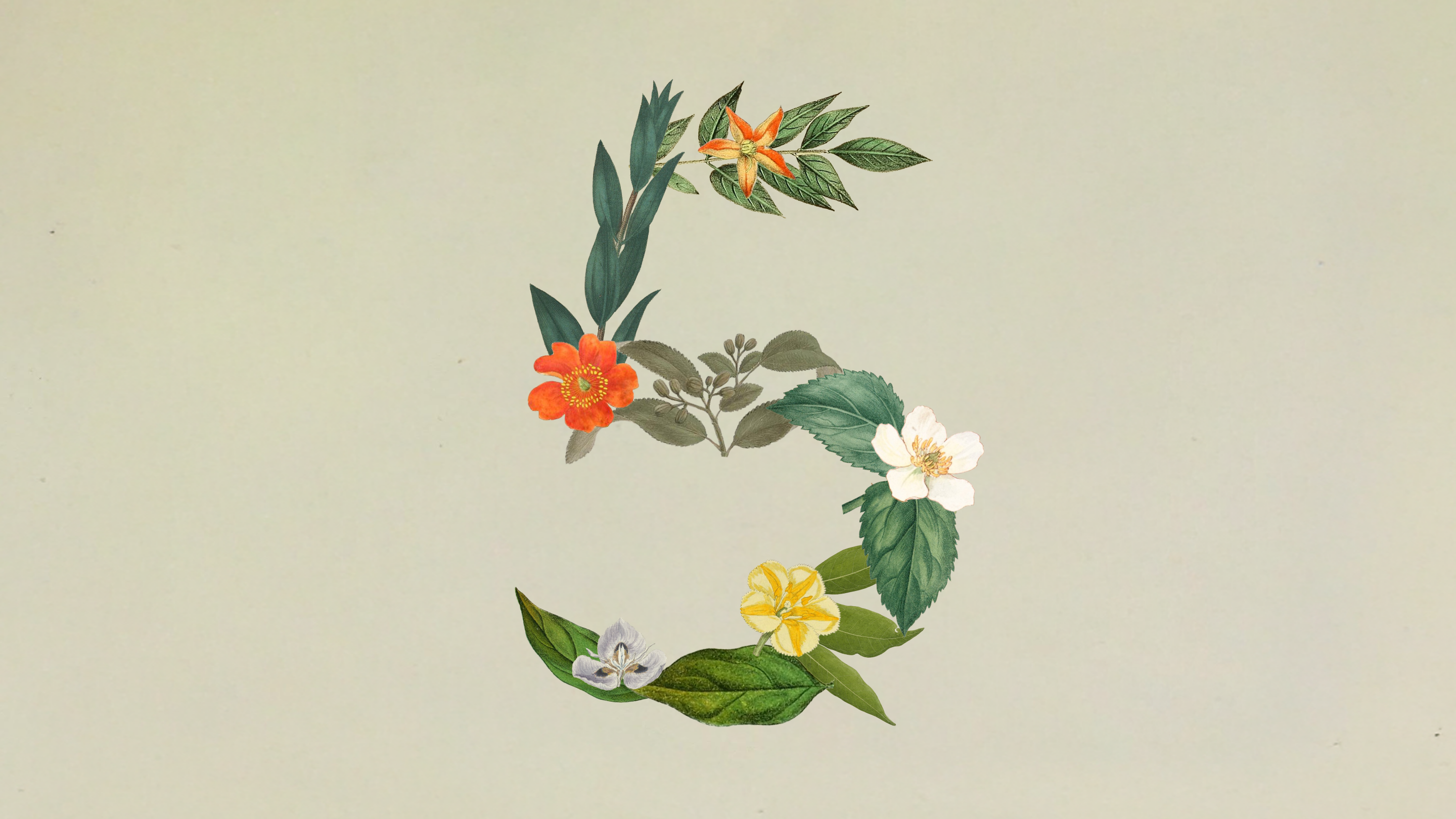 Introducing Claude Sonnet 5 | Anthropic
