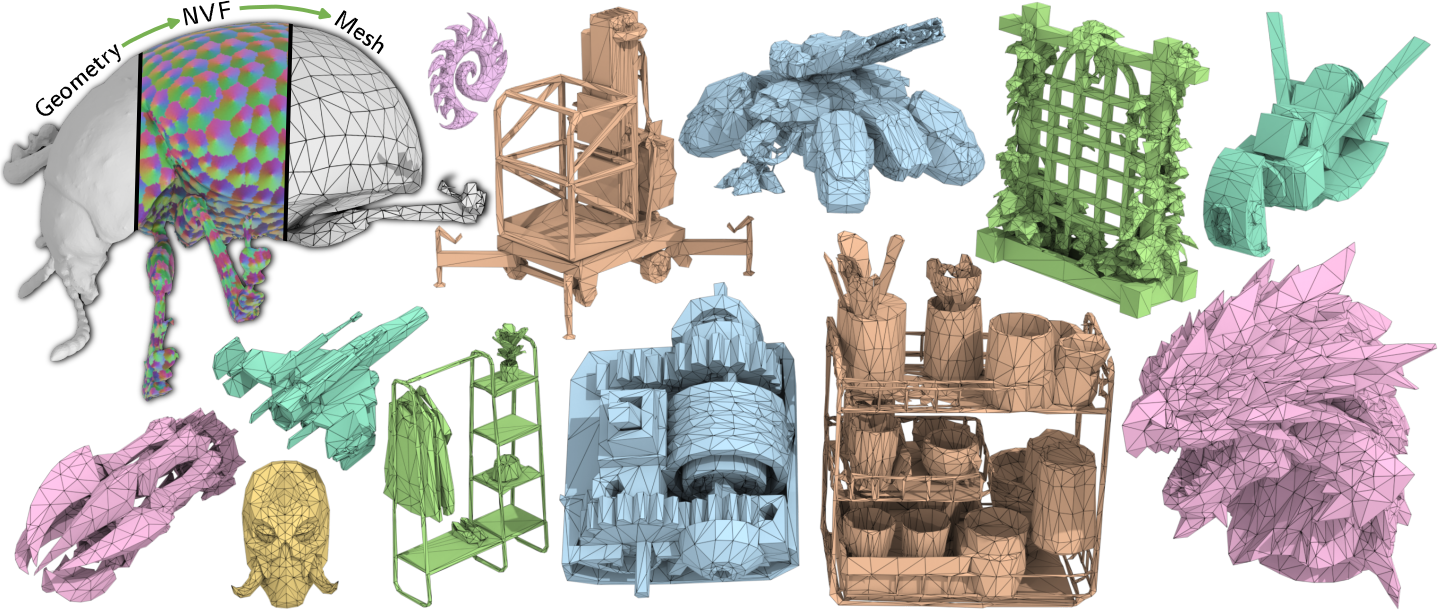 NVF on a beetle and gallery of meshes