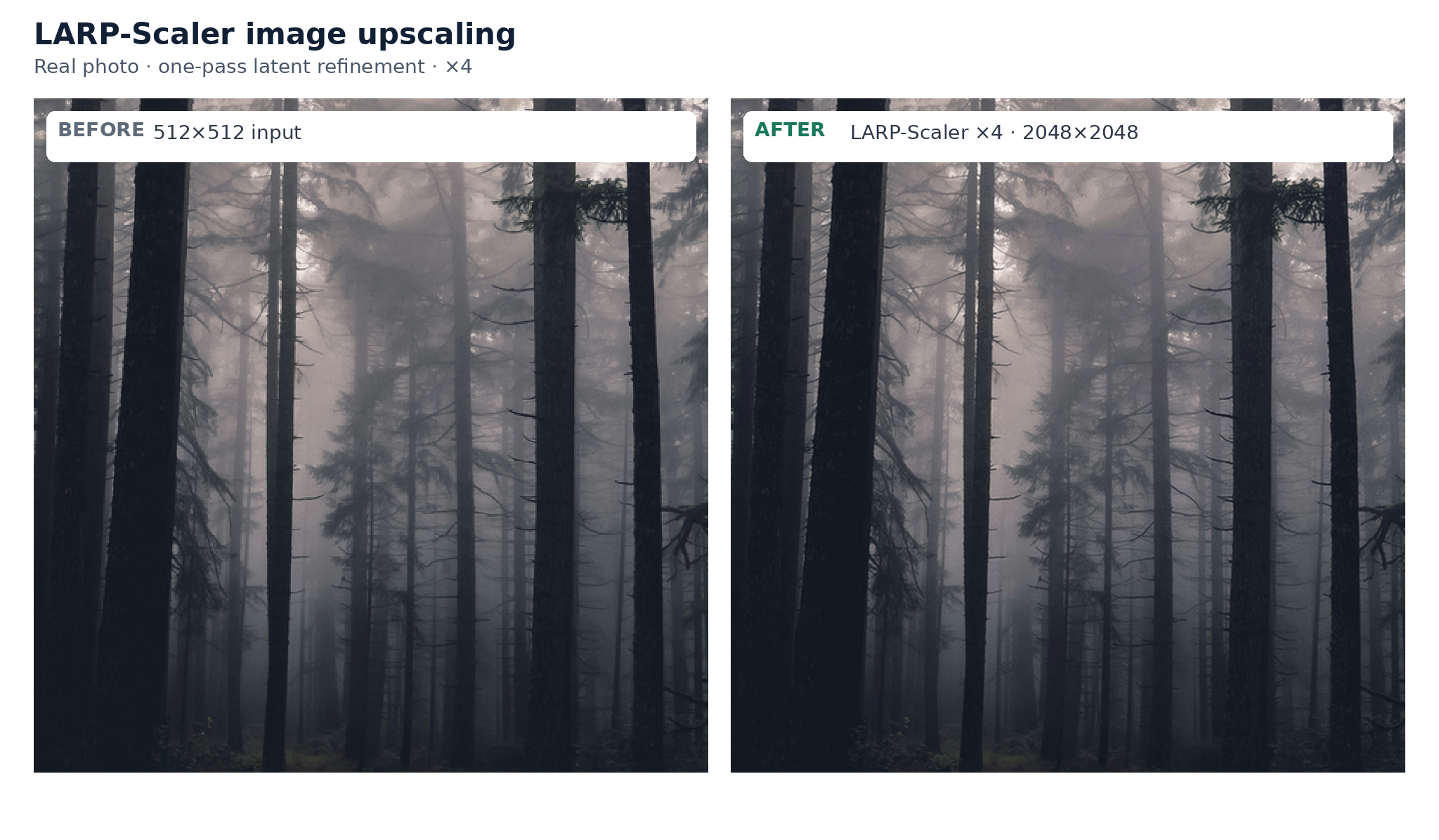 Comparison of 512x512 photo before and after 4x upscaling by LARP-Scaler