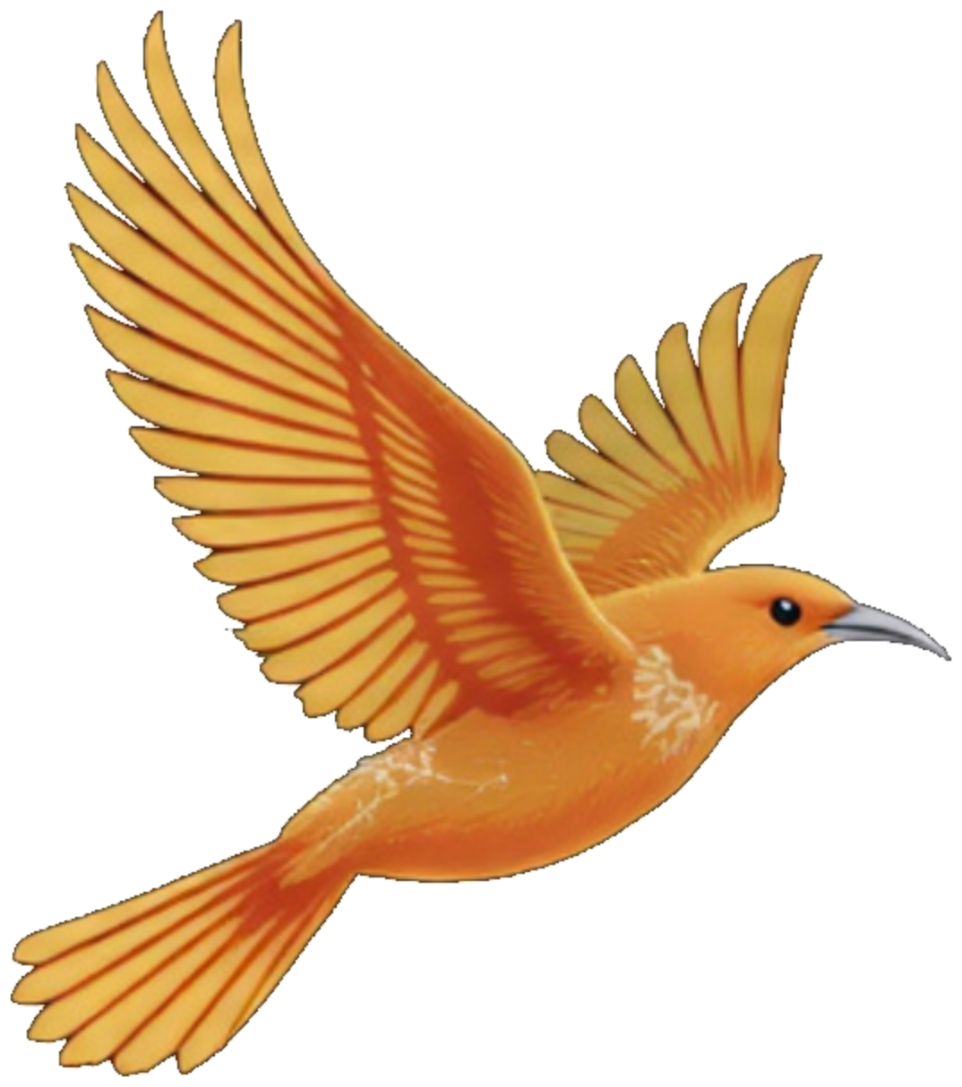 Dulus bird logo