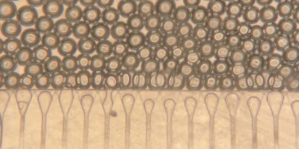 Engineered “mini livers” could be injected as an alternative to transplantation