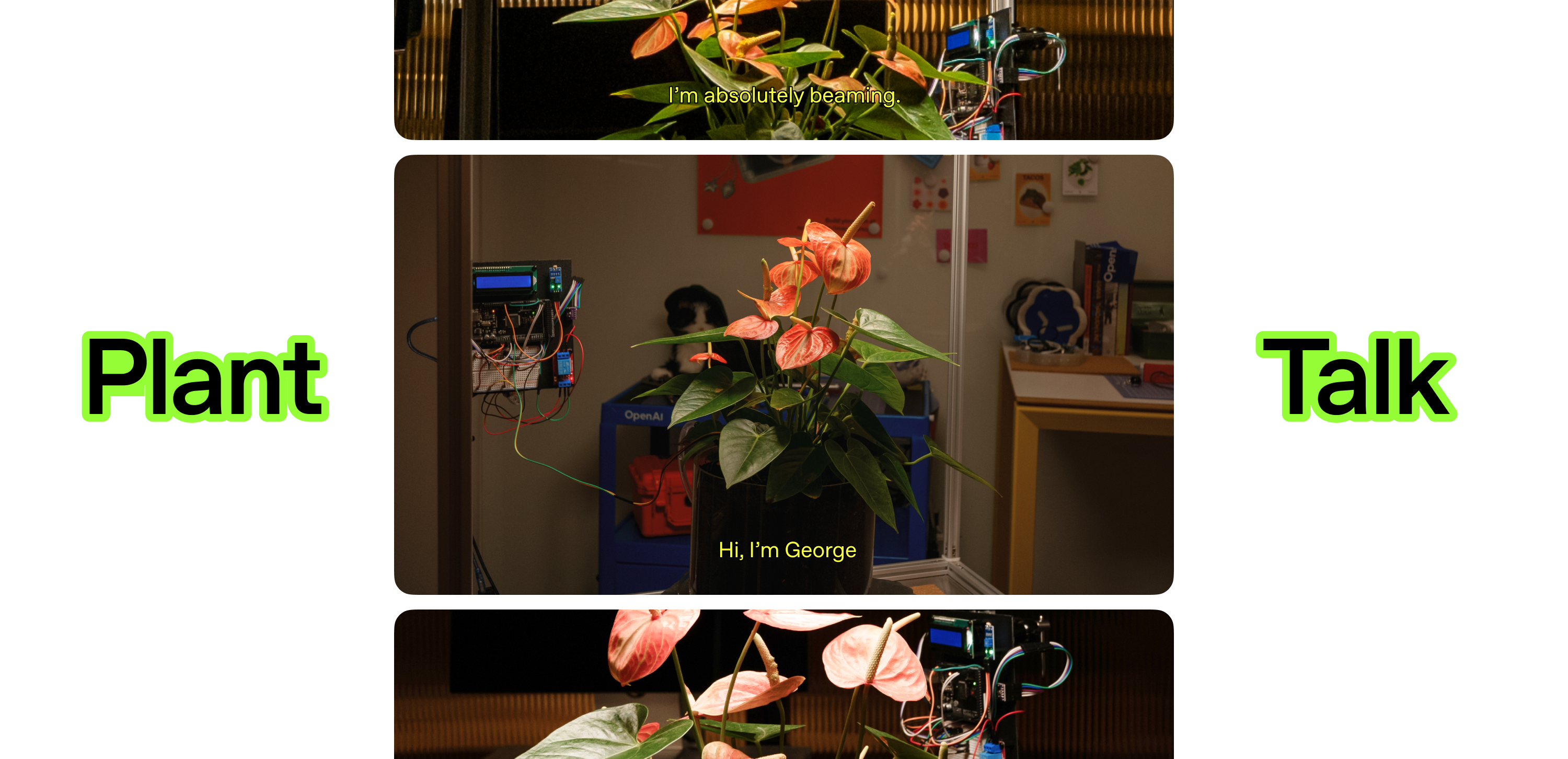 Speak Plant project header